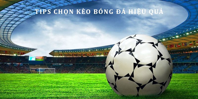 Mẹo chọn kèo nhà cái đá banh hiệu quả của cao thủ